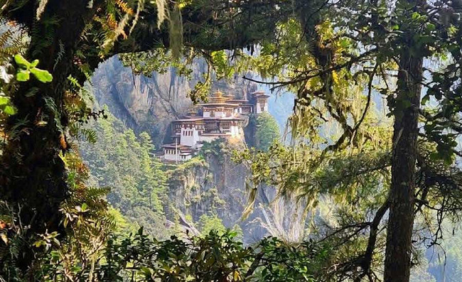 Tiger's Nest Monastery (Paro Taktsang): Hike Guide, History & Tips for 2026